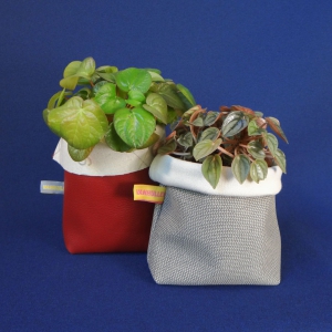 Kerstcollectie: plant- en pennenbakje Vanhulley